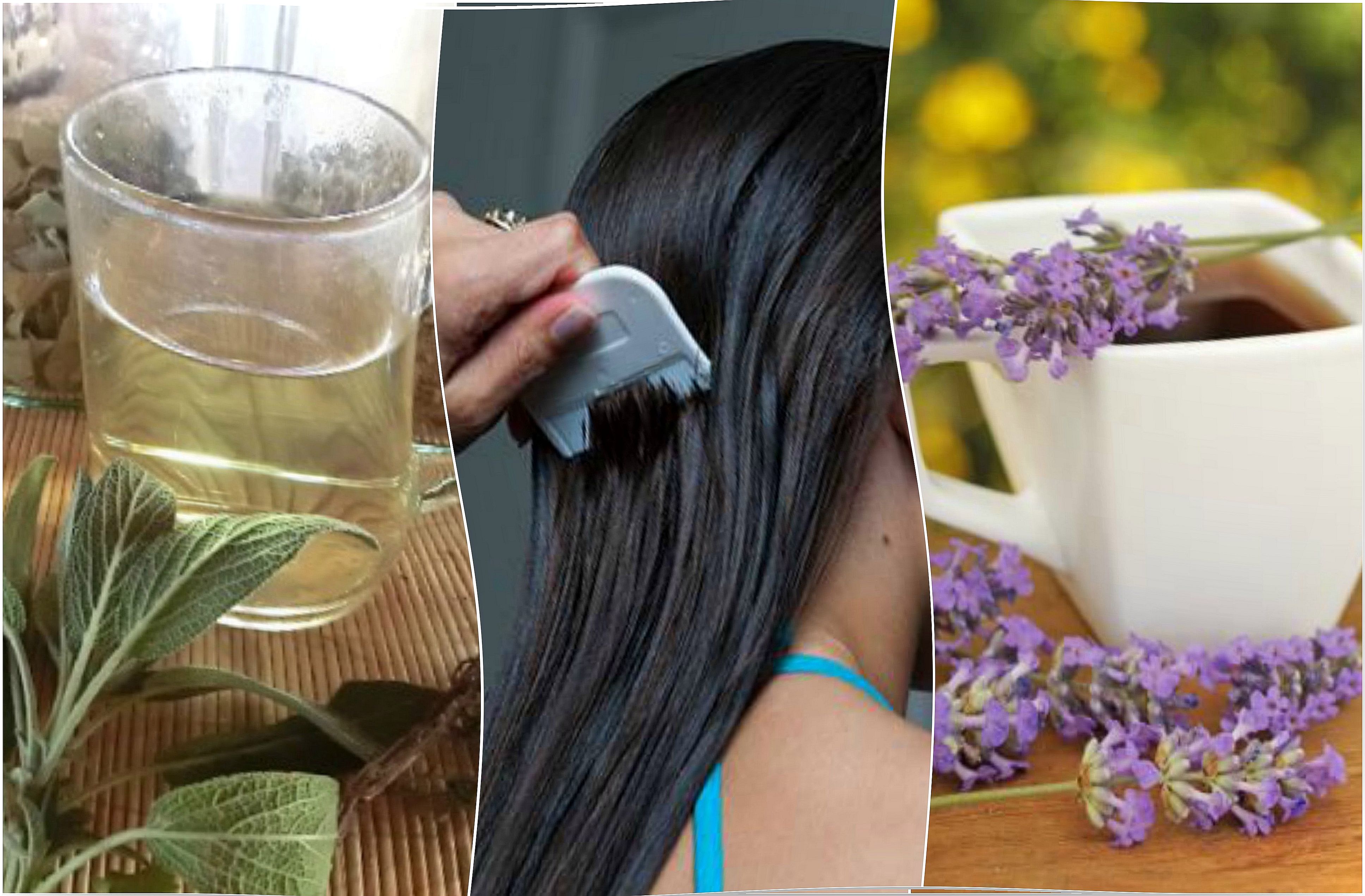 5 herbal remedies to fight lice and nits naturally