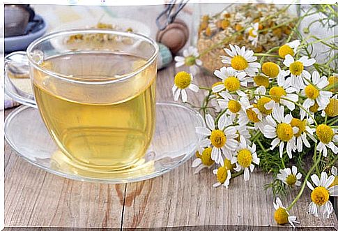 Chamomile infusion