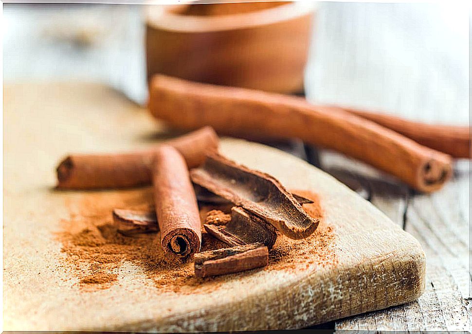 Cinnamon to fight gastroenteritis