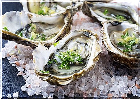 oysters