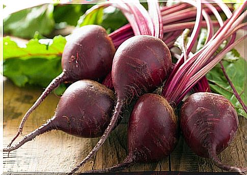 Beet