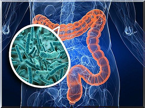 7 tips and remedies to take care of your intestinal flora