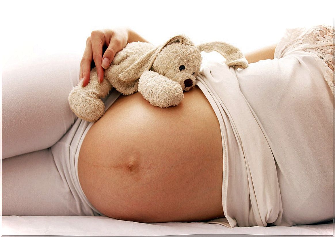 What are the stages of pregnancy?