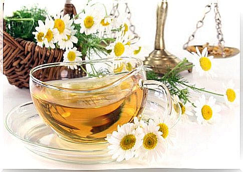 Chamomile infusion