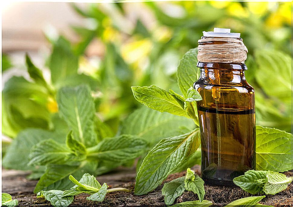 Castor oil to lighten stretch marks