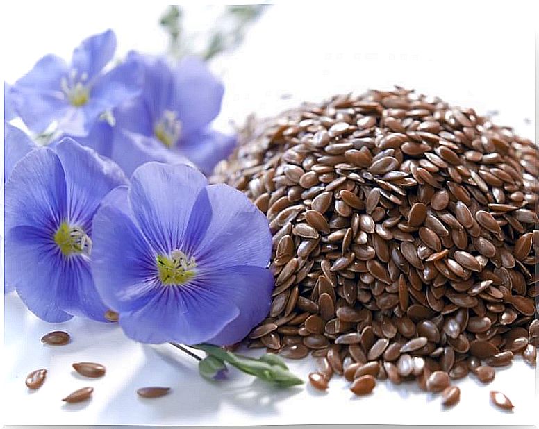 Flax seeds