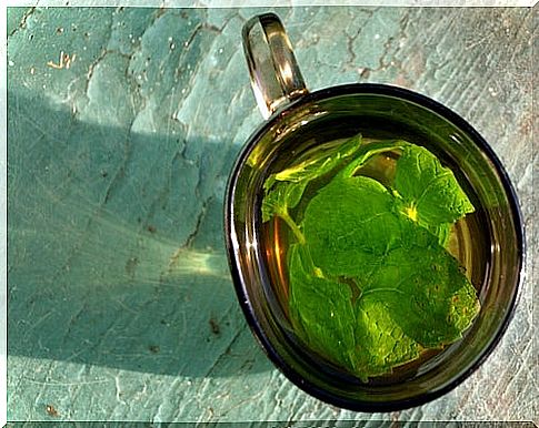 Peppermint tea for the kidneys