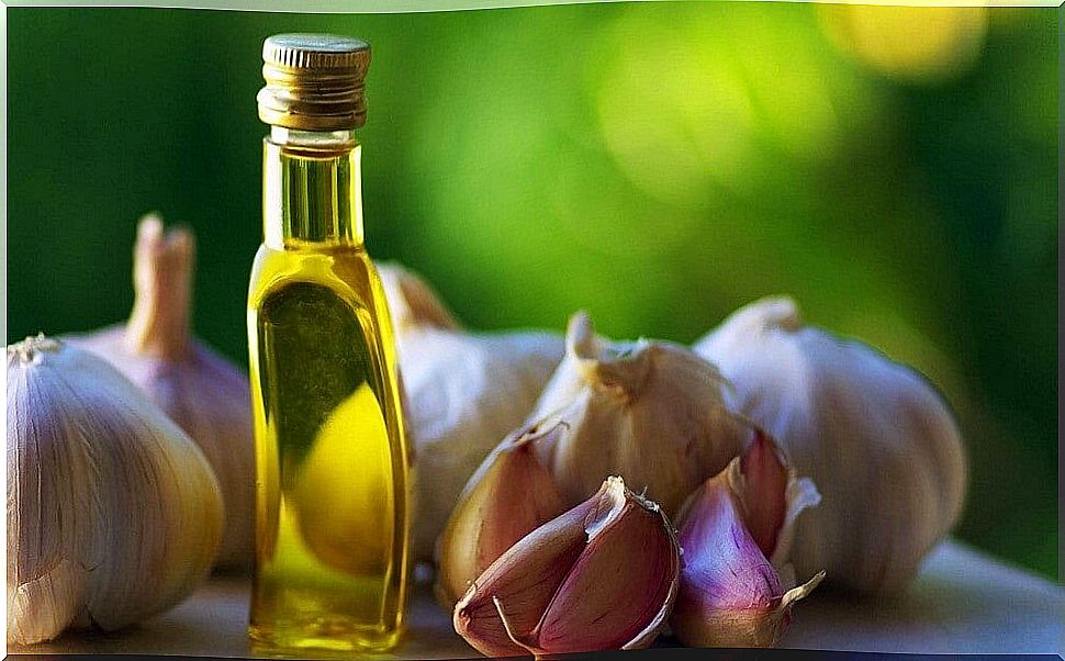 garlic and olive oil for hypertension