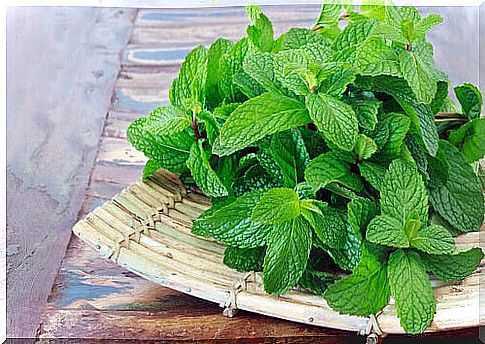 Peppermint remedies have multiple benefits.