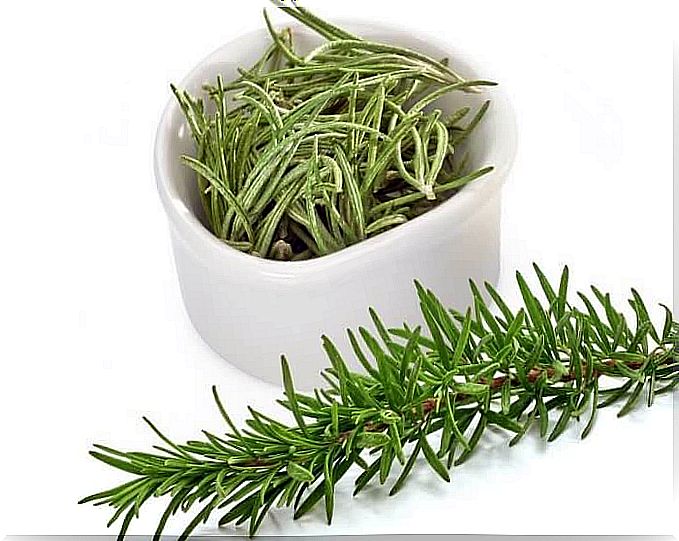 Rosemary properties