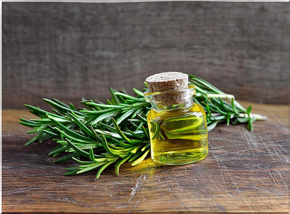 Rosemary oil