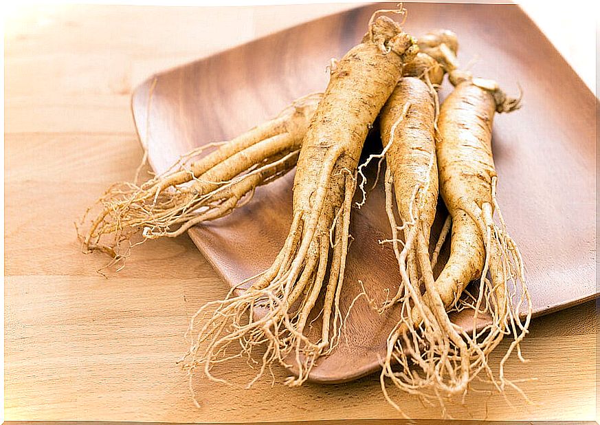 Ginseng, a weight loss plant 