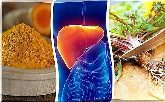 These are the 6 best herbs to protect the liver