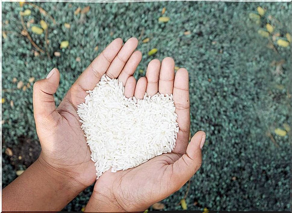 hands holding rice symbolizing when you seek happiness